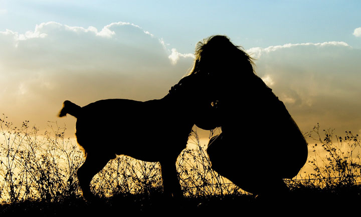 ストレスを我慢する愛犬に私たちは何をしてあげられるか？