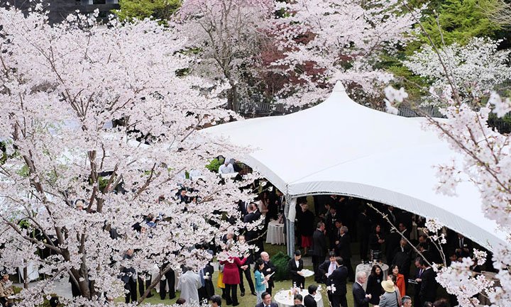 オーストラリア大使館にて香りの演出 「Australia Day in Spring」