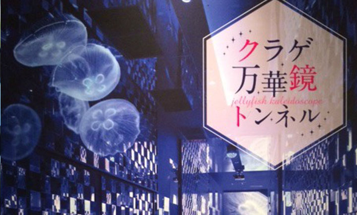すみだ水族館で癒しの時間を Invigorate Your Senses at Sumida Aquarium